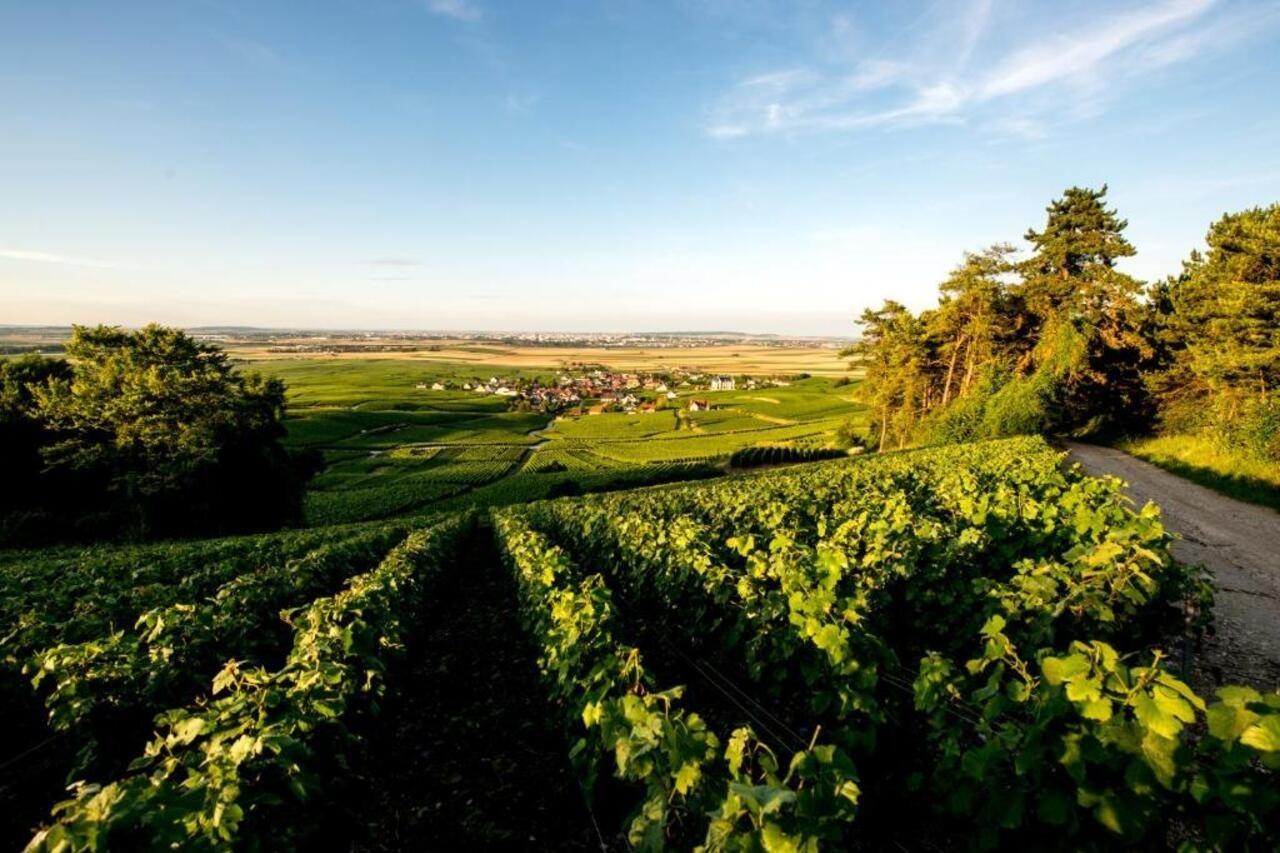 Chateau De Sacy Bagian luar foto